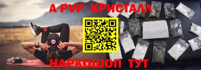 PSILOCYBIN Кингисепп