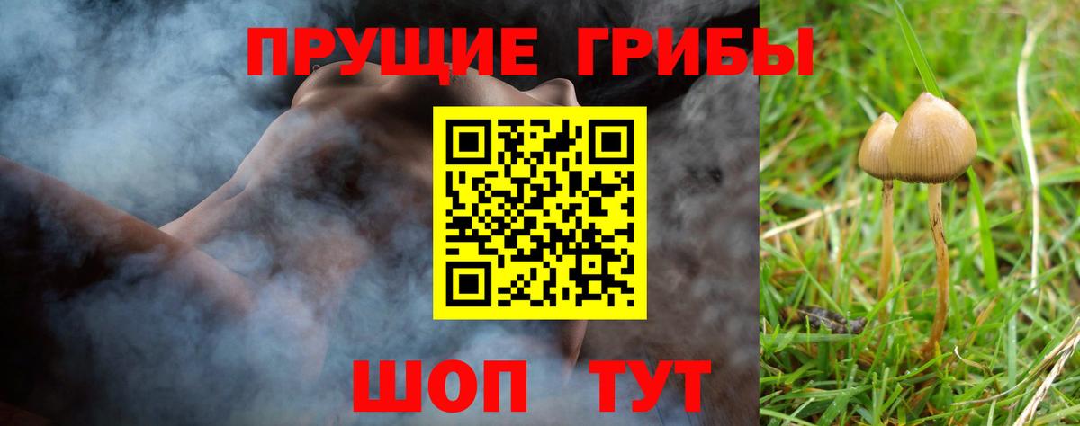 Кузнецк  Псилоцибиновые грибы Cubensis  купить закладку  Вход с VPN  Псилоцибиновые грибы GOLDEN TEACHER 