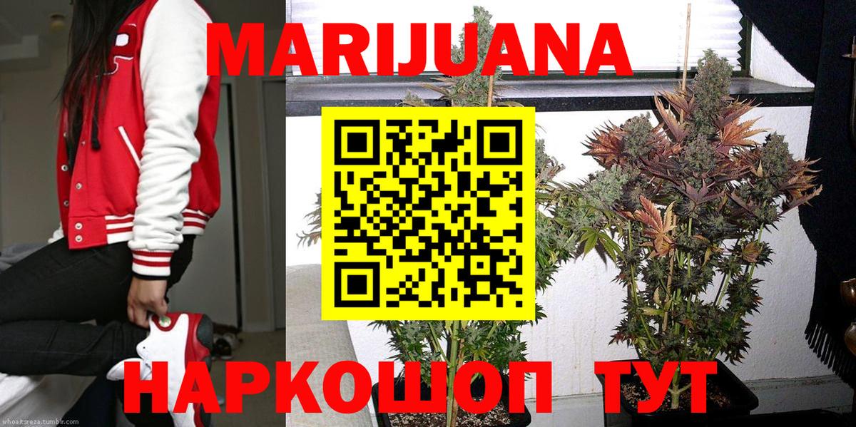 Каннабис индика  Вход с VPN  Бошки Шишки SATIVA & INDICA  Кузнецк  Бошки Шишки планчик 